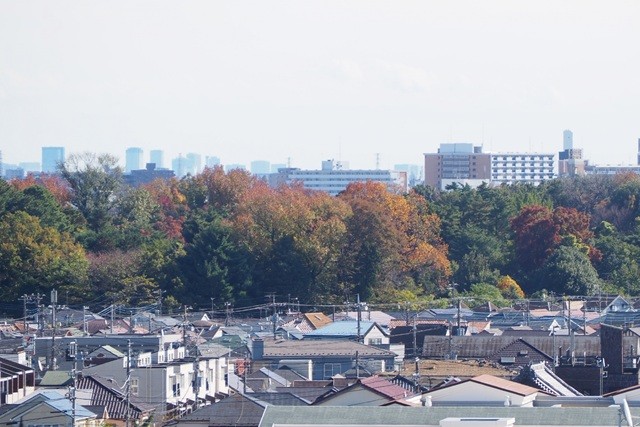 東久留米市・不動産管理