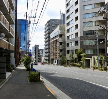 文京区エリアに特化した地域密着